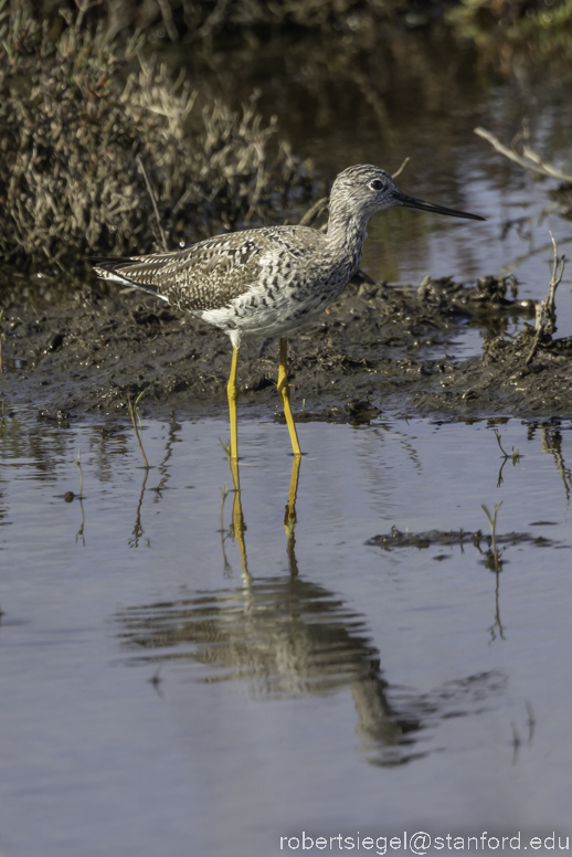 emily renzel wetlands 2023